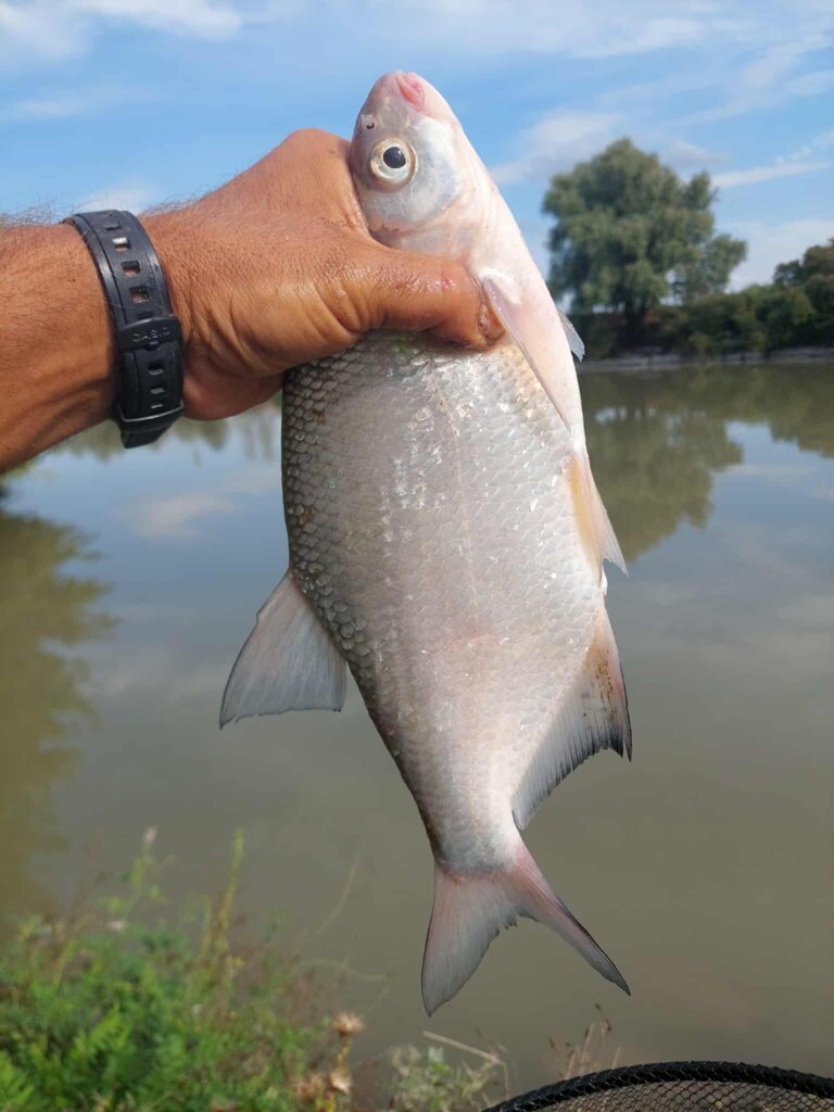 540981162 804838752218593 6695013730235884638 n