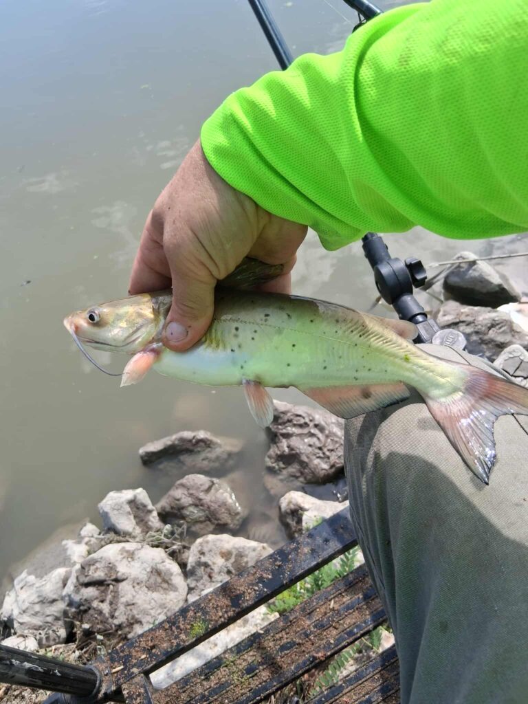 541942887 1106734851557592 9004076440668951090 n