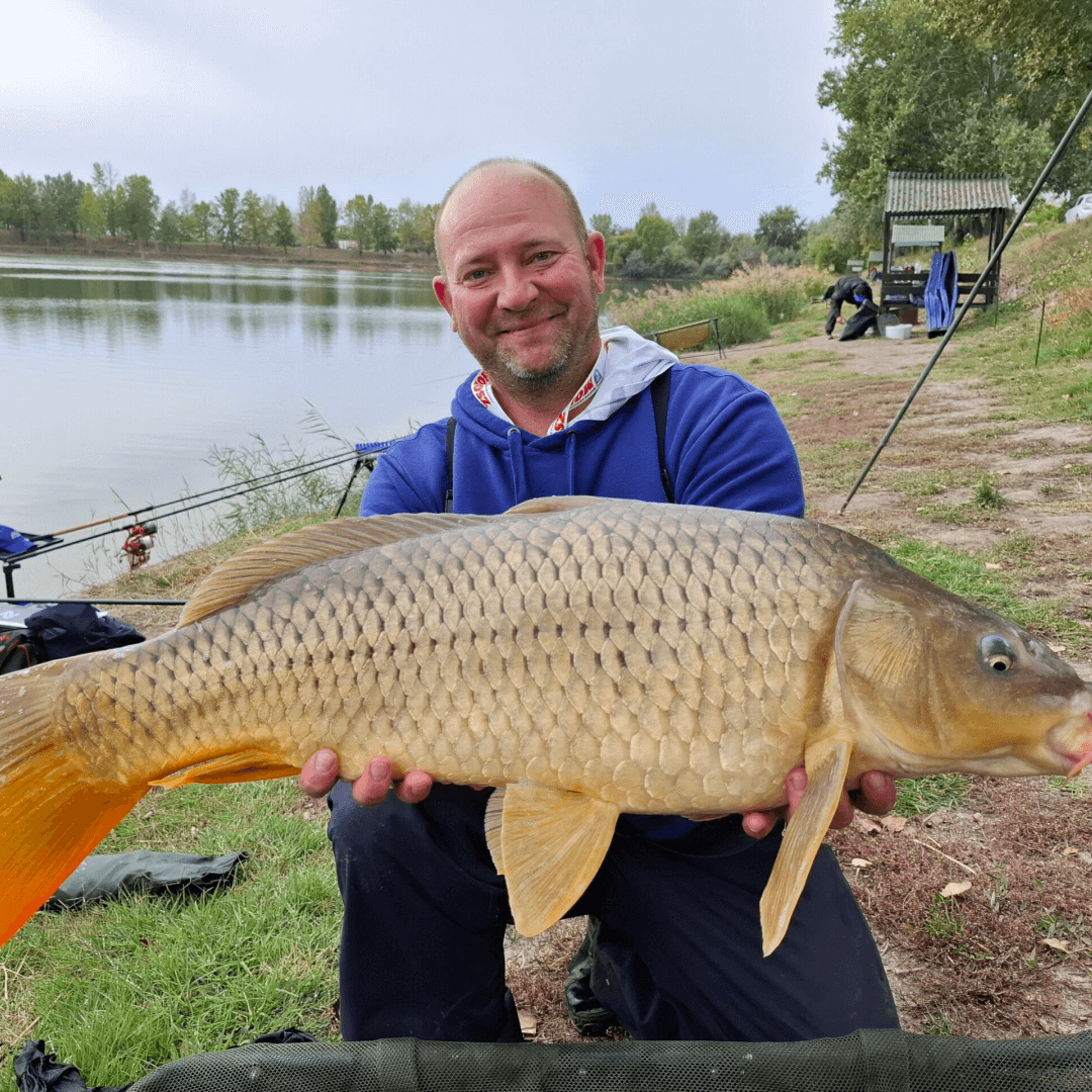 dinasziahe verseny kep 1